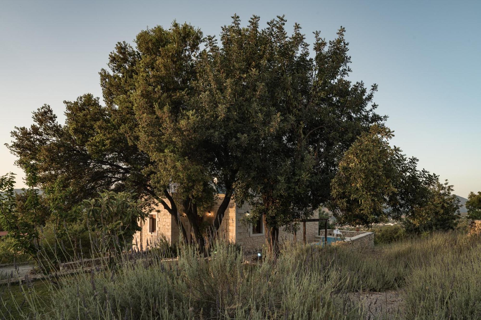 Koules Estate, With Private Pools & Bbq - Embracing Nature, By Thinkvilla Argouli Pokoj fotografie